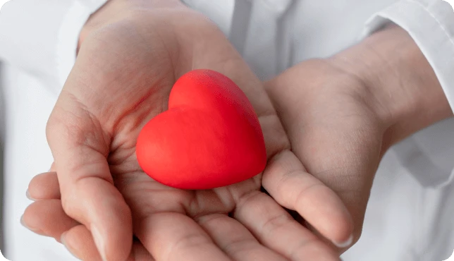 Hands holding a small red heart-shaped object.