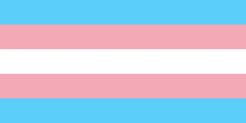 800px-Transgender_Pride_flag.svg The transgender pride flag, representing transgender survivors, features five horizontal stripes: light blue, pink, white, pink, and light blue.