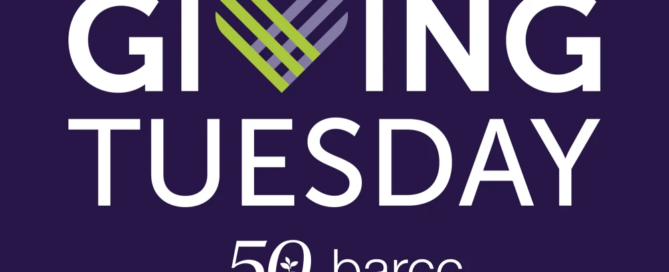 Giving Tuesday graphic with an interwoven pattern forming a heart in the word "Giving." Includes "50 years of healing & empowerment" and "Boston Area Rape Crisis Center," highlighting services to get help for those in need.