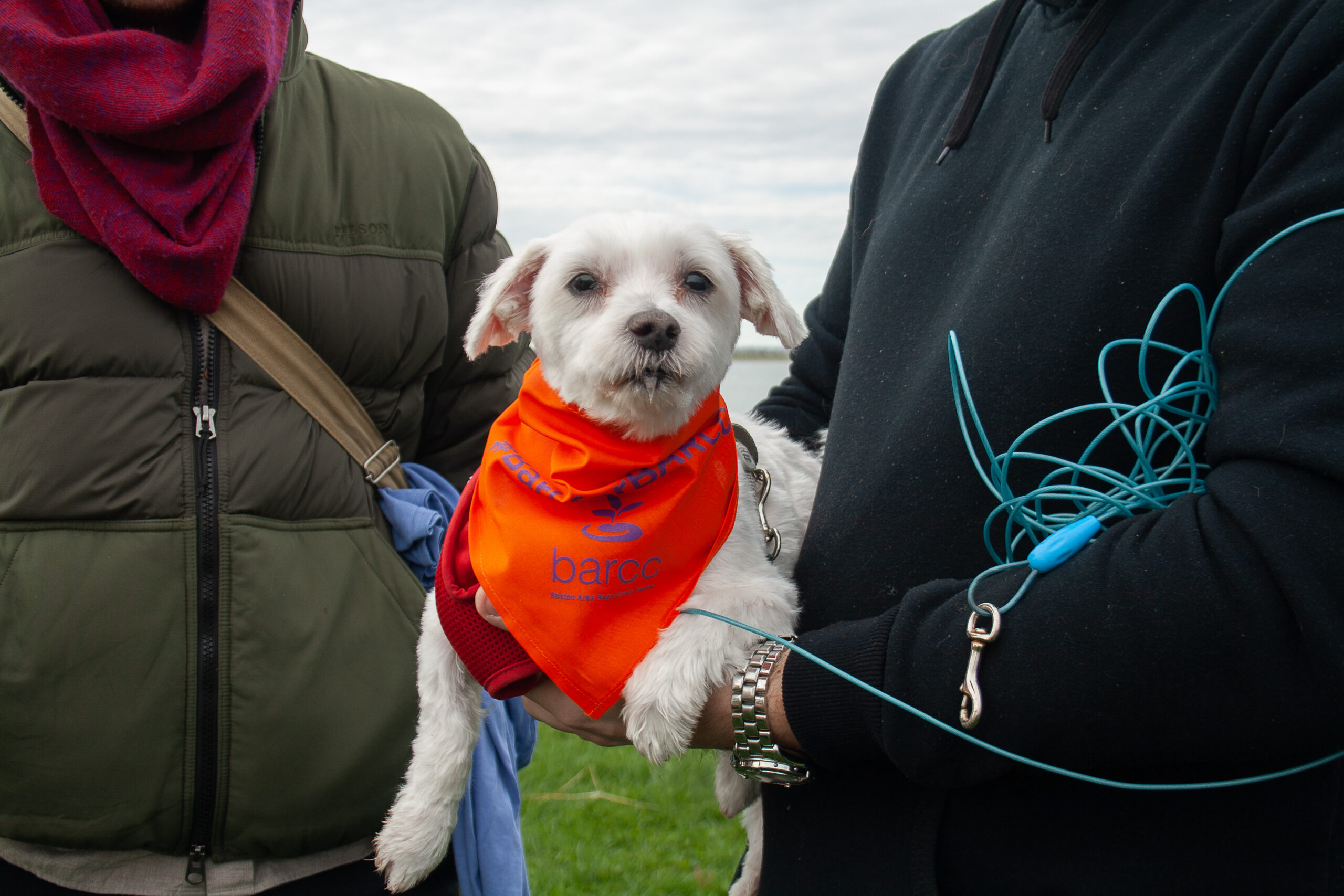 A small white dog wearing an orange bandana is held by a person in a dark jacket, while another stands nearby in a green jacket with a purple scarf. A blue cord, like something out of myths, is seen in the person's hand.