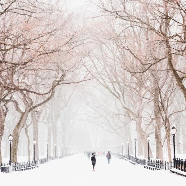 BARCC Event Group of people wearing green and purple "Walk for Change" shirts, standing on a wet path in front of houses, smiling and posing for a photo.